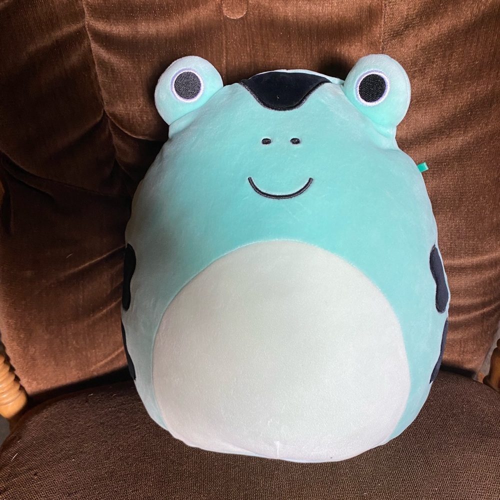 Squishmallows Squishmallow “ Dear “ The Poison Dart Frog !